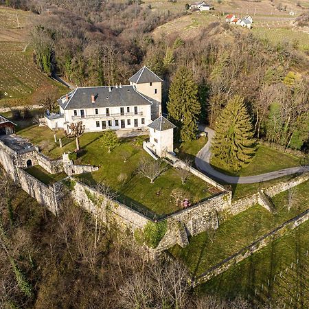 Chateau D'Apremont Apremont  Екстериор снимка